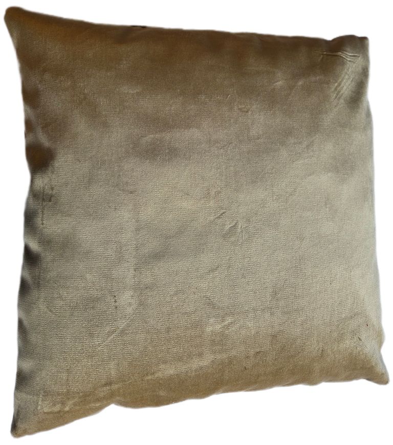 Achterzijde van beige fluwelen design kussen 50x50